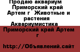 Продаю аквариум. - Приморский край, Артем г. Животные и растения » Аквариумистика   . Приморский край,Артем г.